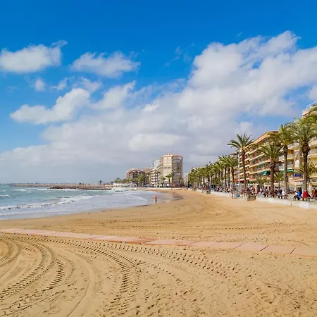 Alegria Id81 Apartament Torrevieja